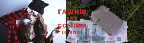 индика Абинск