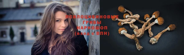 индика Абинск