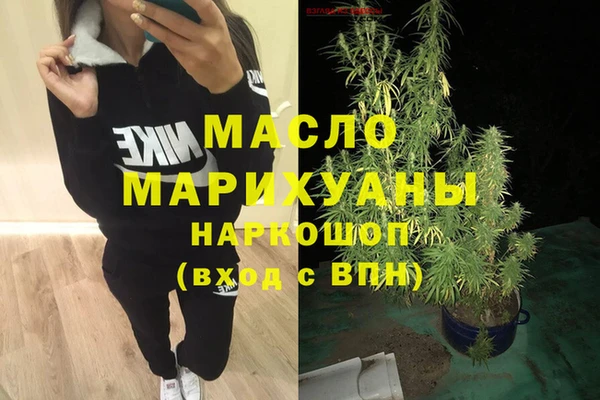индика Абинск