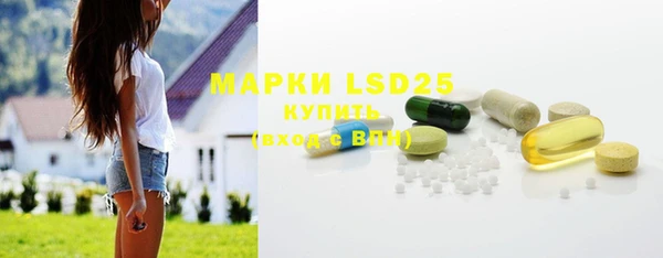 индика Абинск