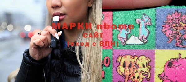 индика Абинск