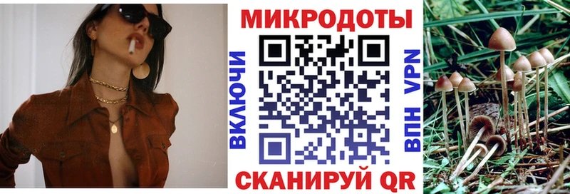 Псилоцибиновые грибы Psilocybine cubensis  Нефтегорск 